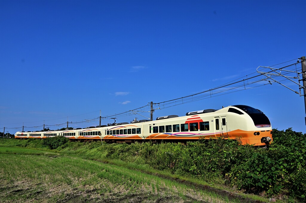 DSC_3119 今日の定点撮影