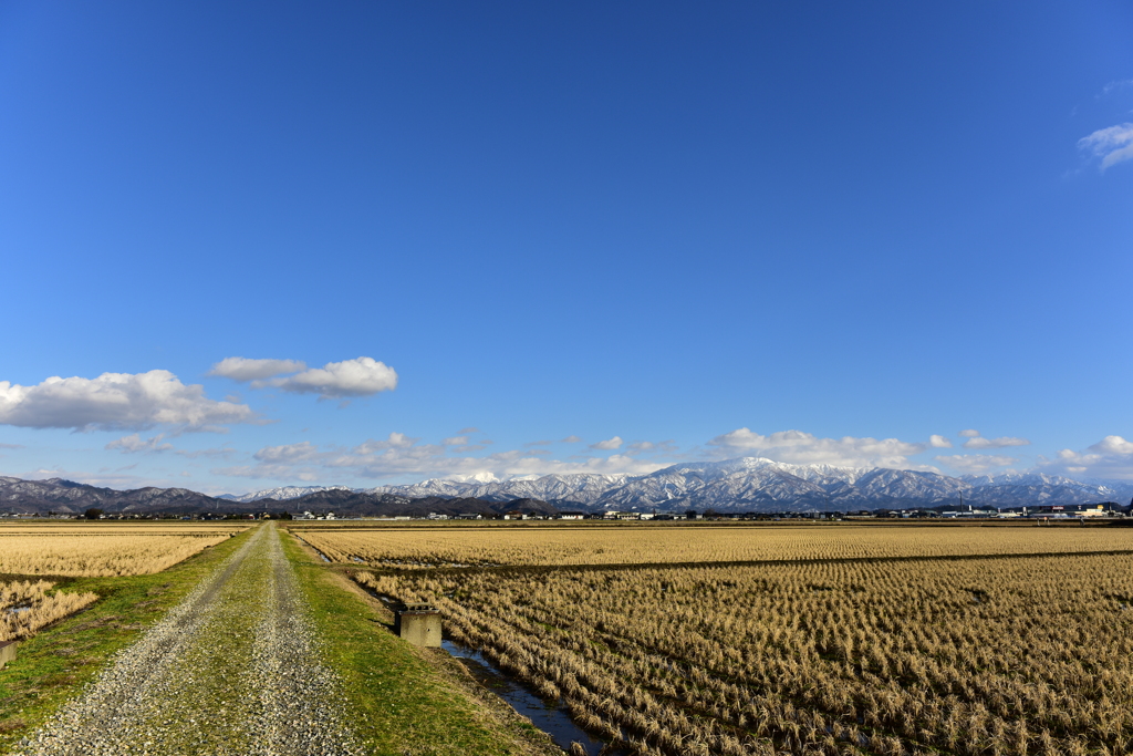 DSC_0432　冬晴れの三重奏