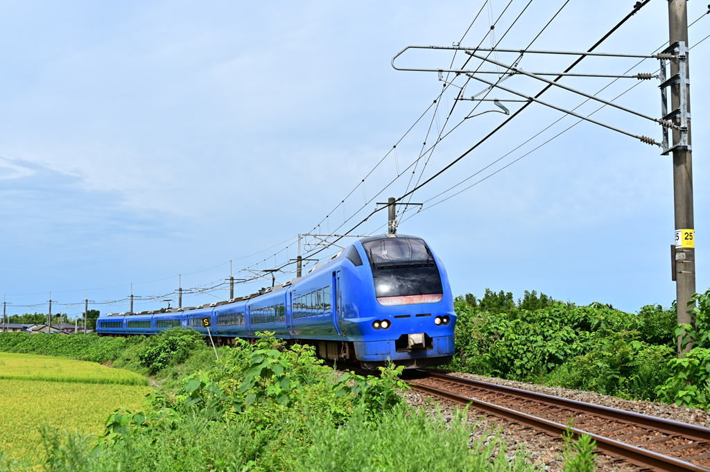 DSC_1307定点撮影　いなほ1号秋田へ