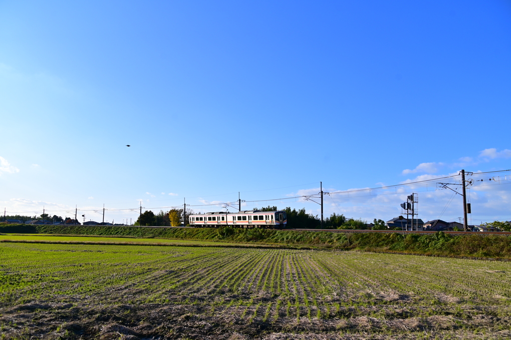 DSC_5719　ローカルと青空