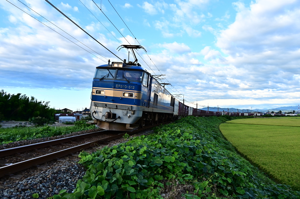 DSC_1439　久しぶりのEF-510