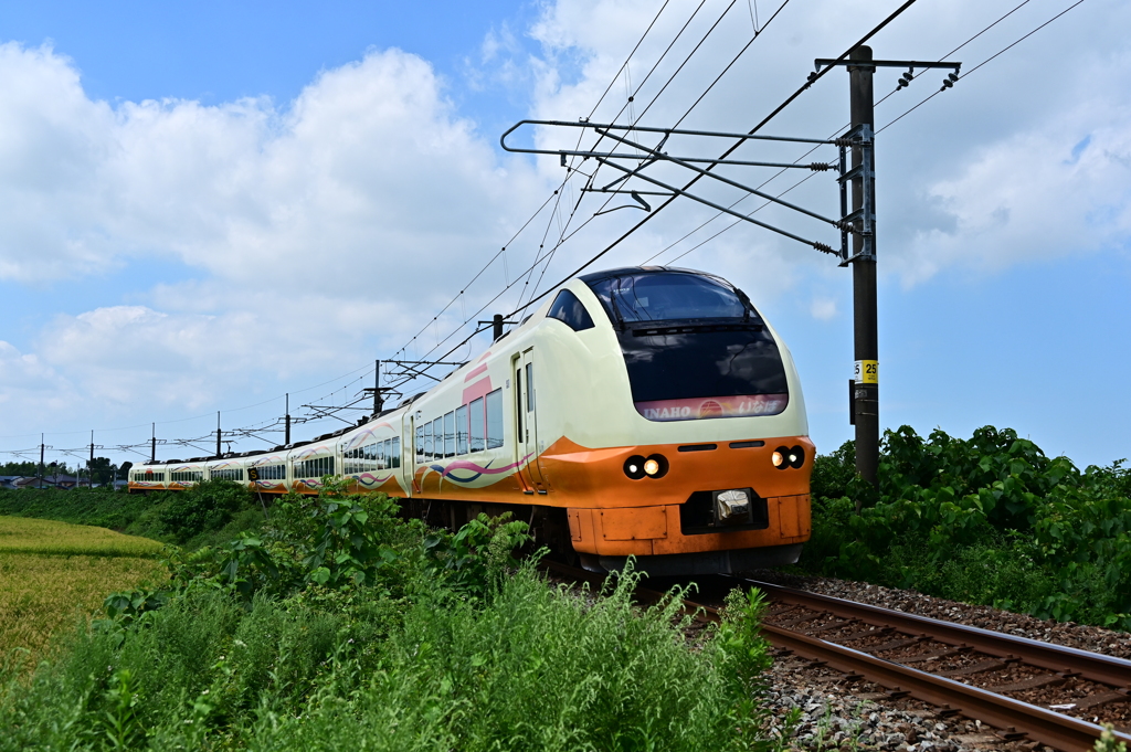 DSC_1962　青空に誘われて