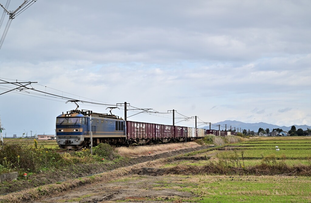 DSC_5234　上り貨物