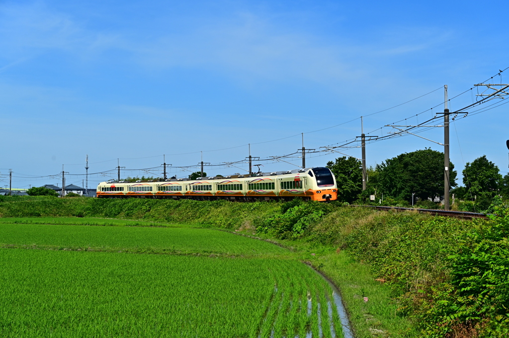 DSC_1830　今日も晴れ　青空に映える「下り特急いなほ１号秋田行き」