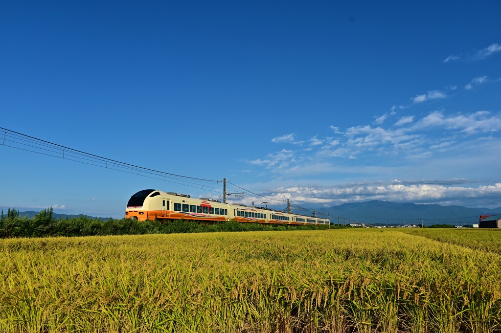 DSC_2306 定点撮影　則清踏切