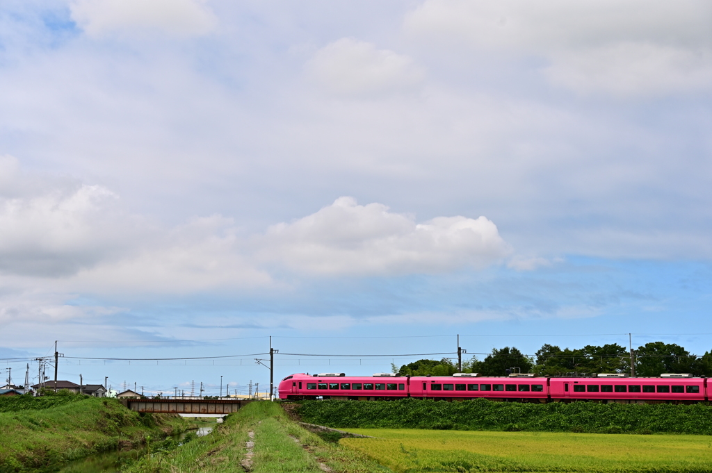 DSC_1068 浜茄子色のいなほと小さな鉄橋