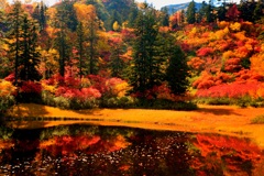 層雲峡紅葉