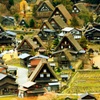 白川郷紅葉２
