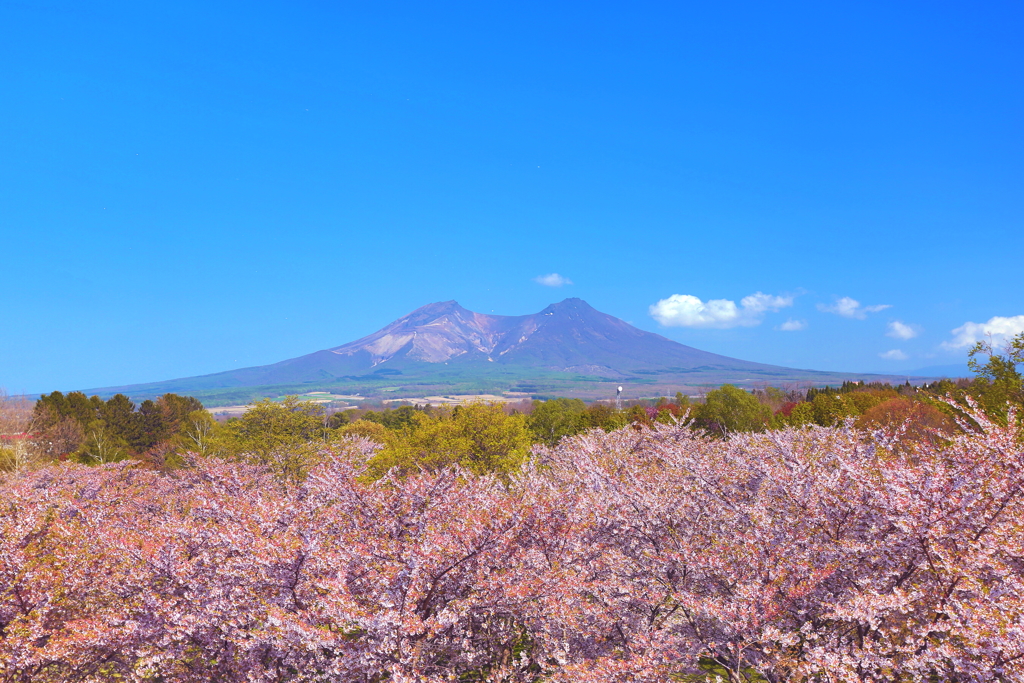 駒ヶ岳