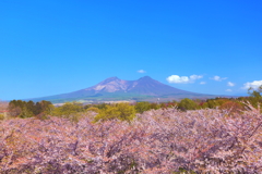 駒ヶ岳