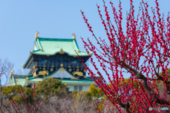 梅林から望む大阪城