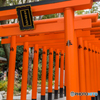 生田神社-1