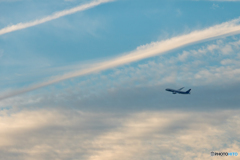 飛行機雲と787