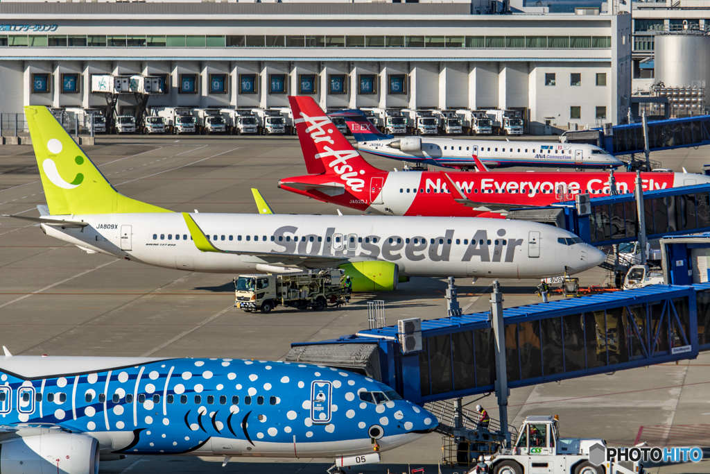 Centrair-6~colorful~