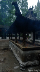 興福禅寺の朝