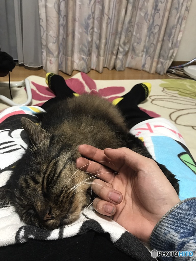 仕事帰りの手で