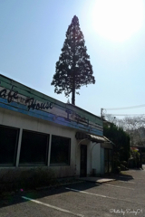 伝説の喫茶店エデン
