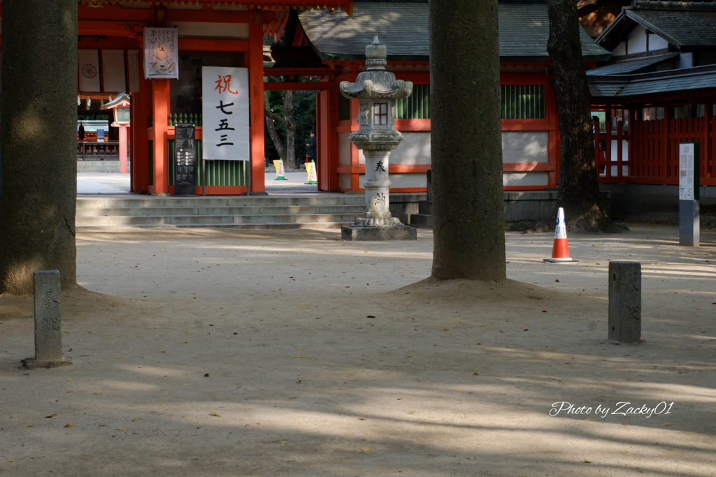 筑前國一之宮住吉神社の七五三