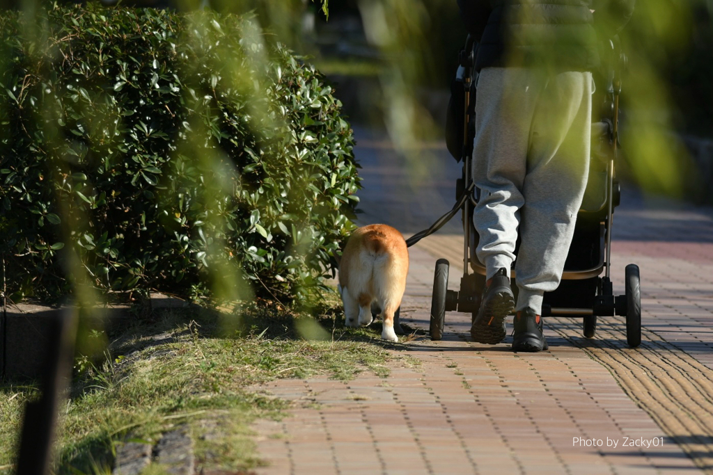 幸せな時間