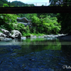 新緑の清流