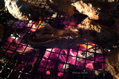 諫早の牡蠣BBQ