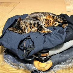 遺品整理の一コマ