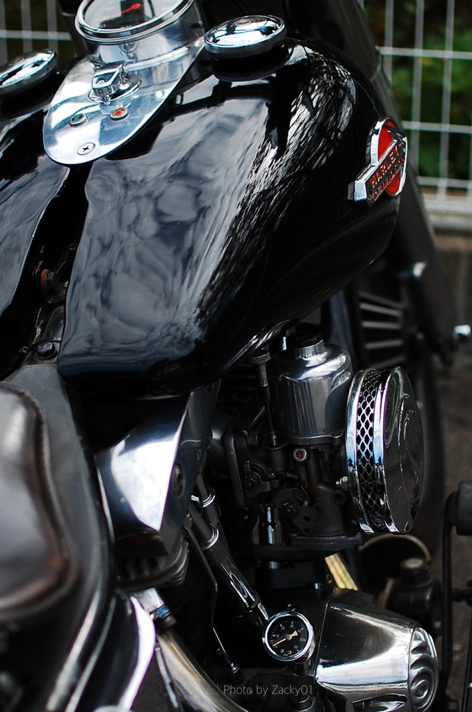 Harley-Davidson