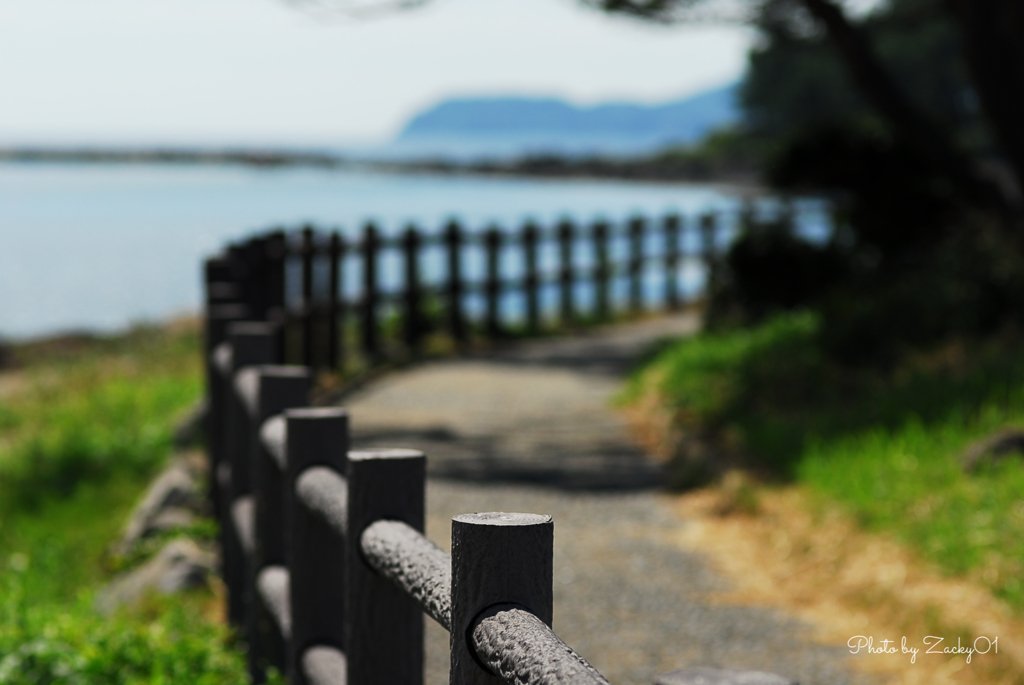 海辺の散歩道