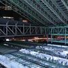 Shiny roof