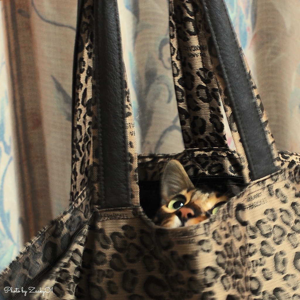 (=^x^=)nECO BAG