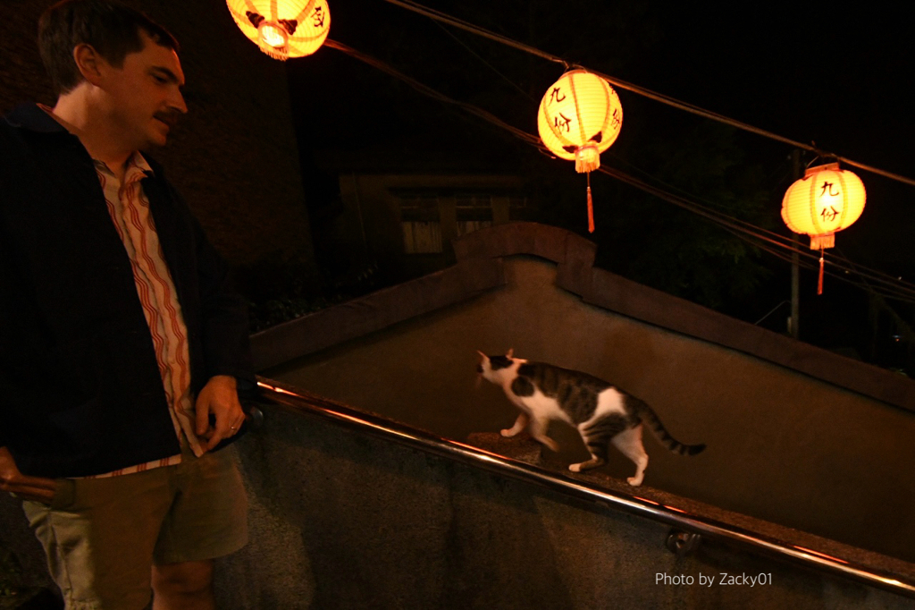 九份の猫