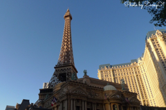 Paris Las Vegas & Eiffel Tower Las Vegas