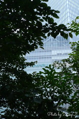 クリスタル東京