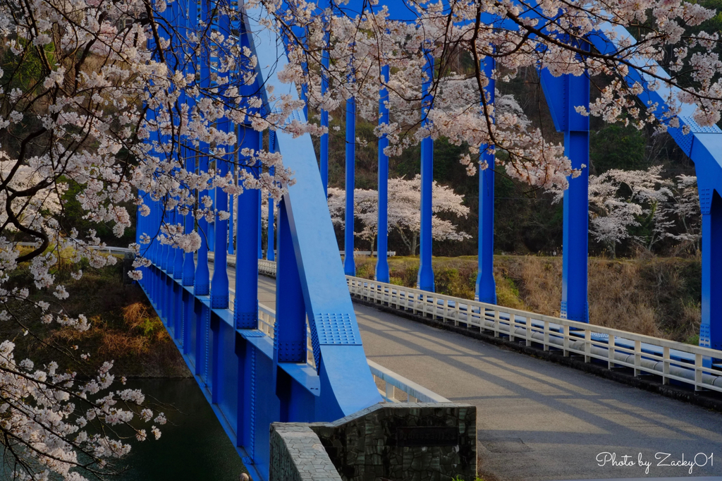 春風と桜に架かる