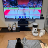 世界バレー観戦