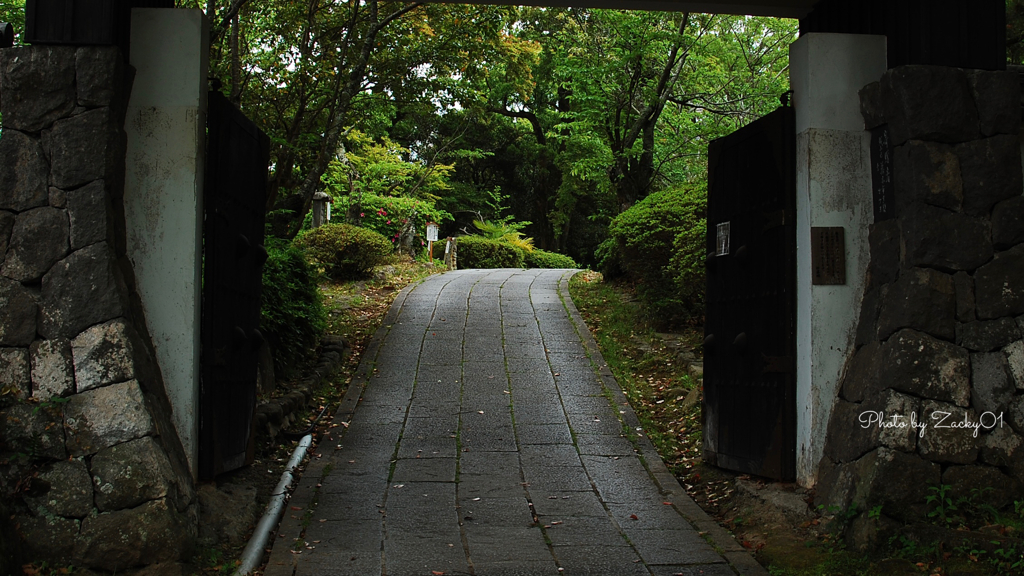 新緑の門