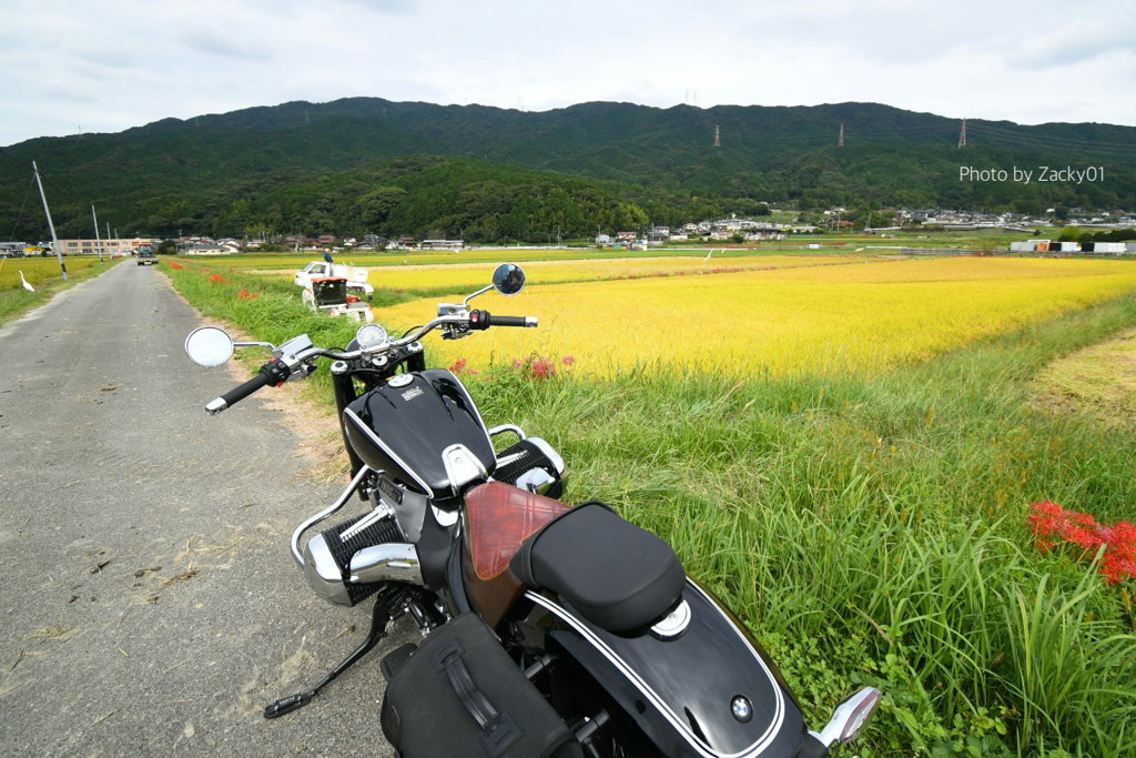 農村の道