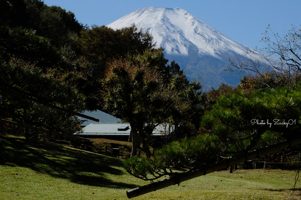 富士山
