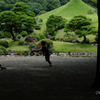 ある夏の水前寺成趣園