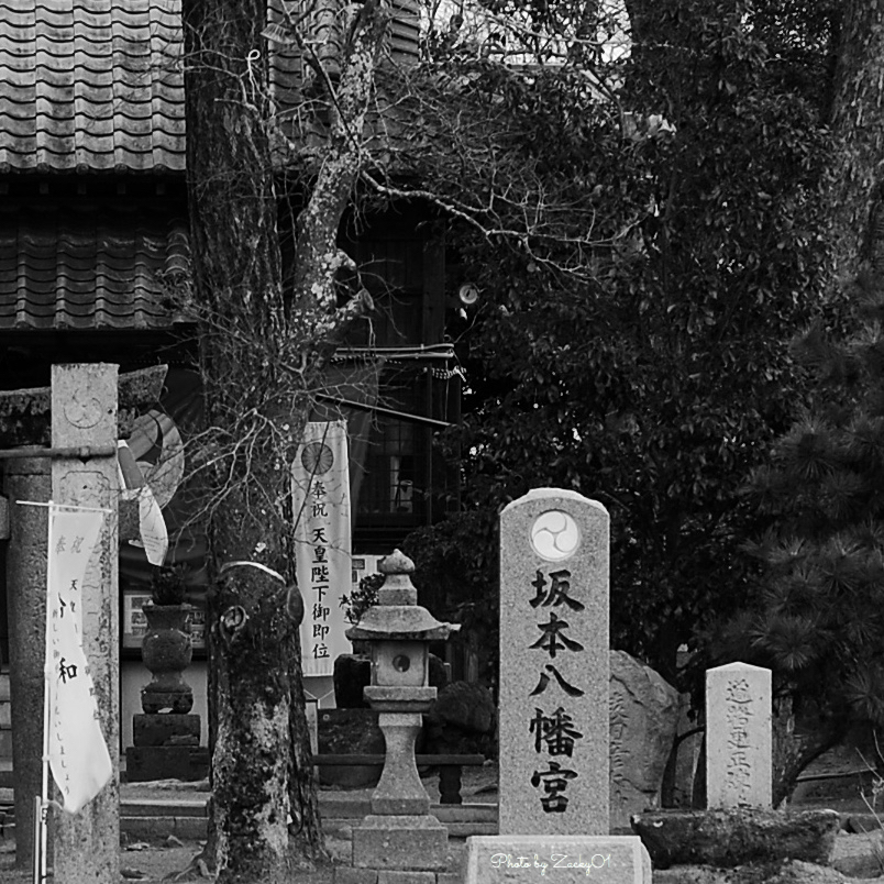 早春の坂本八幡宮