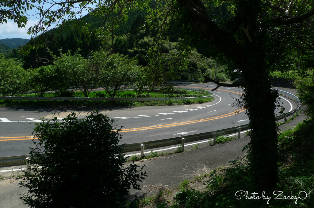 初夏のワインディング