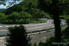 初夏のワインディング