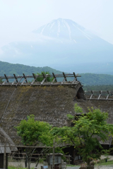 富士山と共に