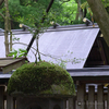 置かれた場所で