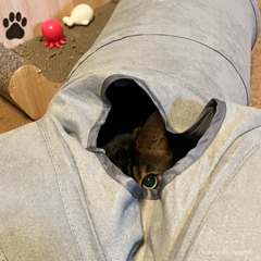 かくれんぼ