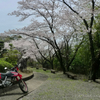 公園の道