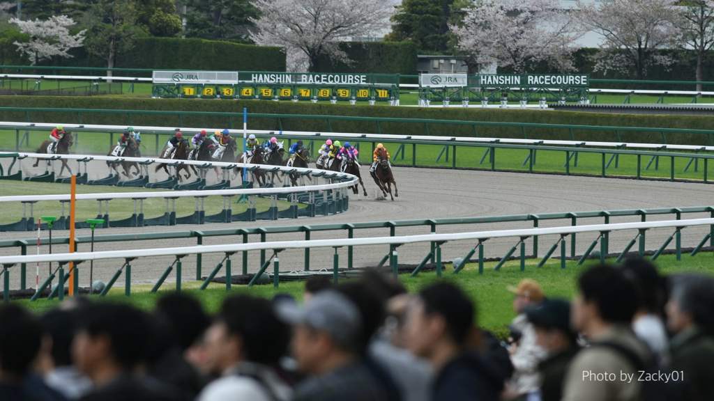 スクリーンに釘付け、、