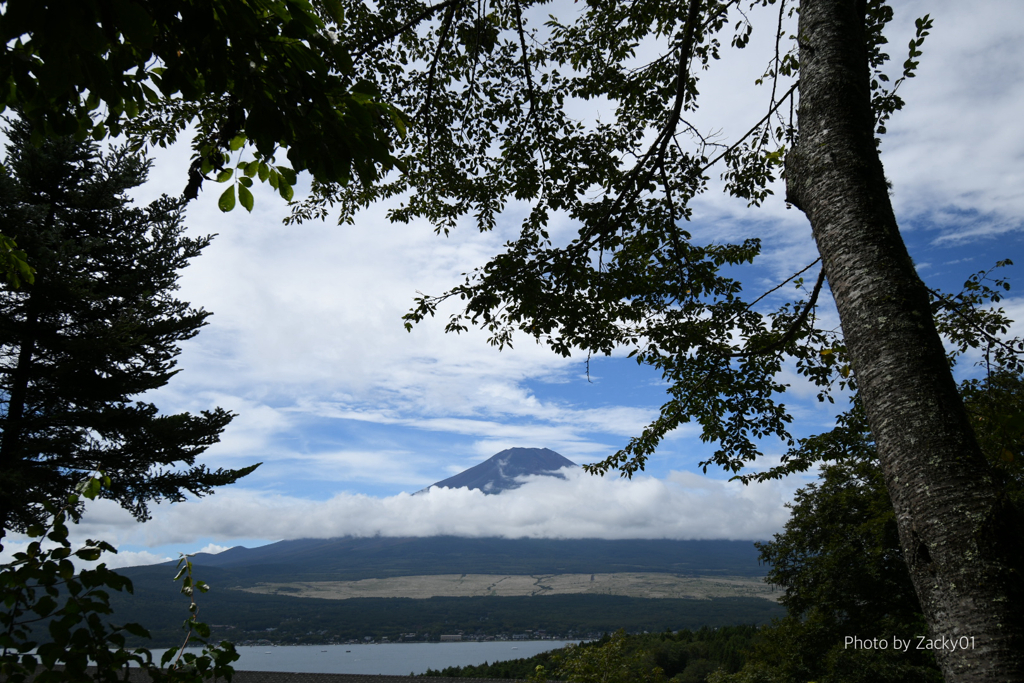 目覚めの景色