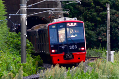 緑の中を走り抜ける真っ赤な列車