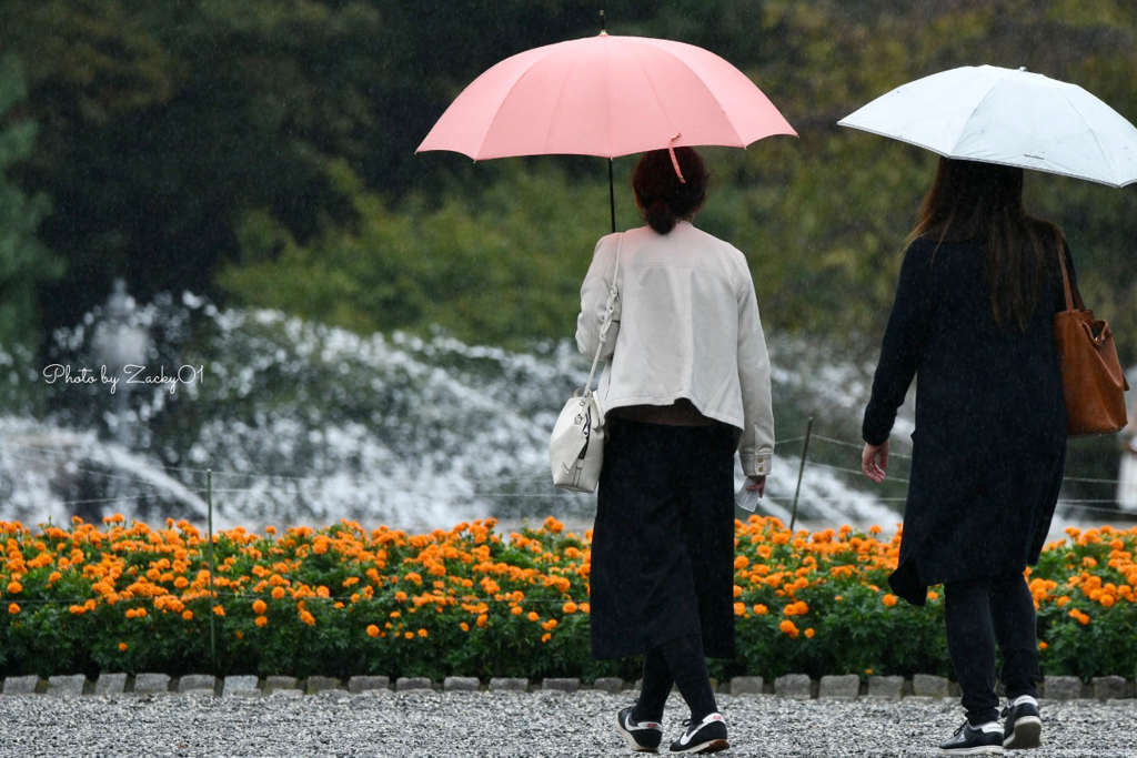 秋雨の赤坂離宮